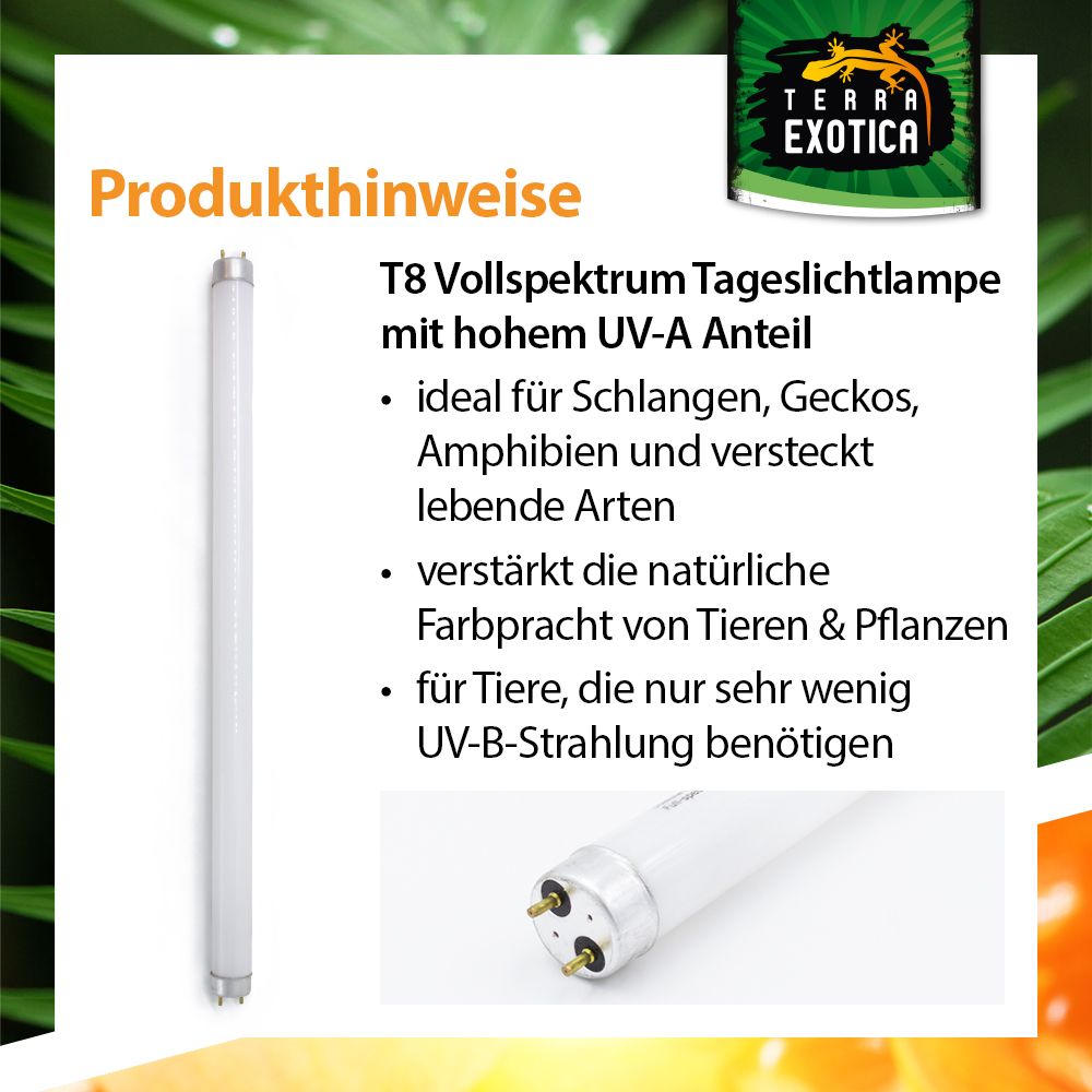 Sunray Nature - Leuchtstoffröhre - 15-36 Watt
